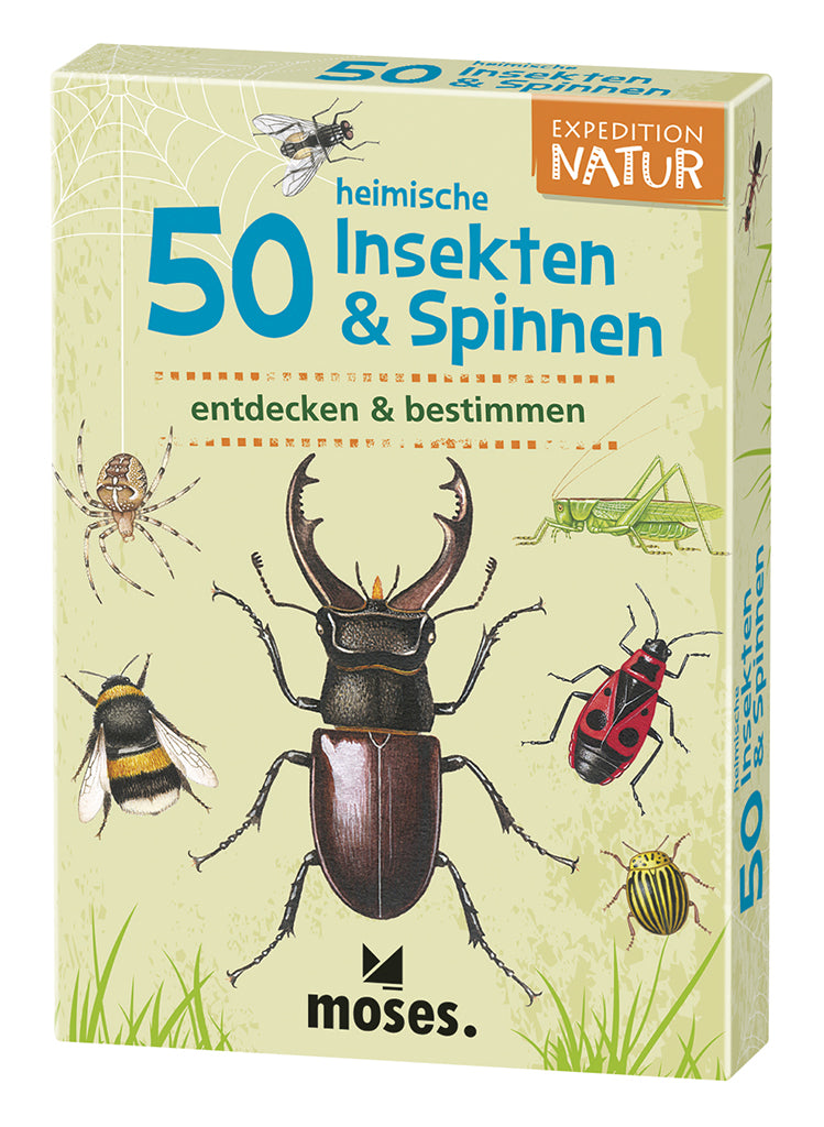 50 heimische Insekten und Spinnen // Kartenset Expedition Natur