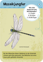 Lade das Bild in den Galerie-Viewer, 50 heimische Insekten und Spinnen // Kartenset Expedition Natur
